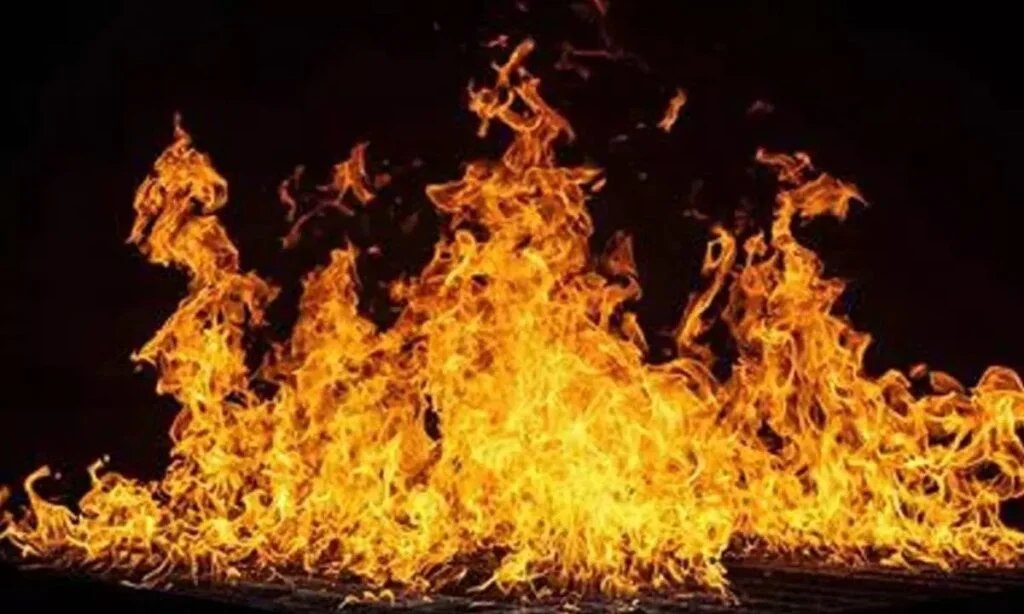 Tragic Gujarat Firecracker Explosion Claims Lives